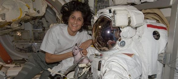 Astronaut Sunita Williams poses for a photo with her Extravehicular Mobility Unit (EMU) spacesuit in the Quest airlock of the International Space Station on August 29, 2012. Photo credit: NASA