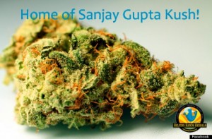 Picture of the Gupta marijuana from the Helping Hands Herbals Dispensary Facebook page.