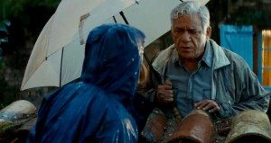Om Puri in 'The Hundred-Foot Journey'.