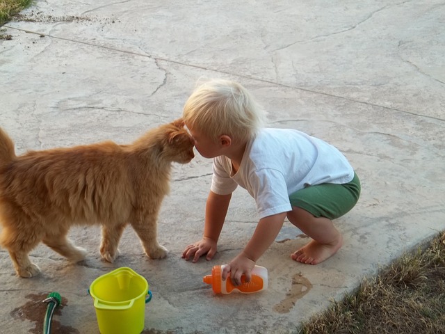 Cat and Kid