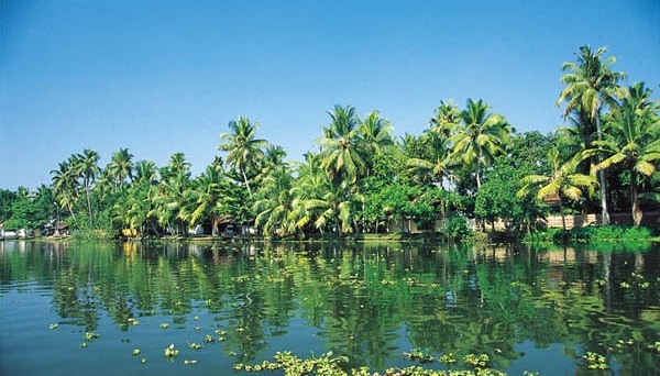 The Digital Age, if implemented aggressively, would prevent the destruction of Kerala’s fragile eco systems of air, water and forest, as is happening in China and some parts of the world due to unbridled industrial growth and urbanization. Photo credit: http://www.dic.kerala.gov.in