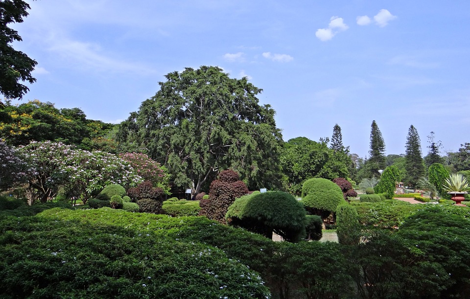 Lalbaghbotanical-garden