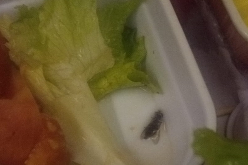 Maryland resident Femina Amoo found a dead fly in her salad bowl aboard a recent Air India flight.